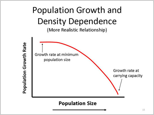 Figure 15. Population Growth and Density Dependence - More Realistic Relationship