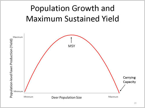 Population Growth and Maximum Sustained Yield