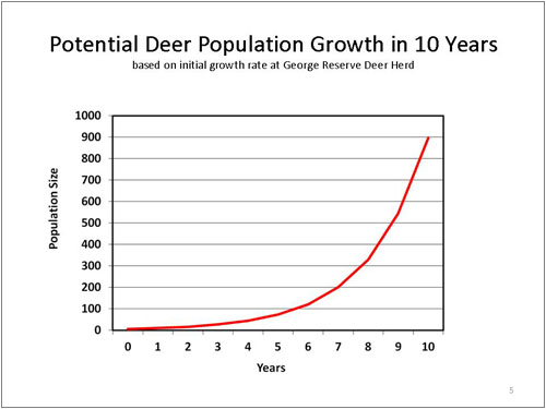 Potential Deer Population Growth in 10 Years