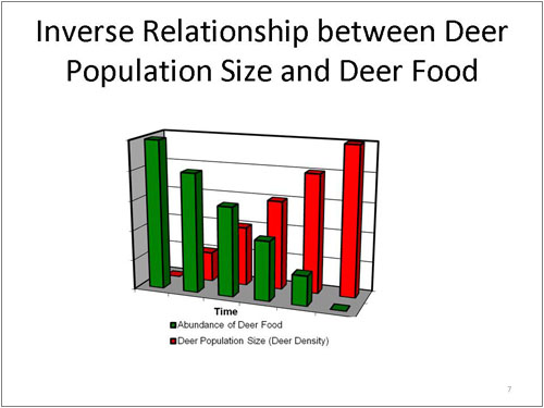 Inverse Relationship between Deer Population Size and Deer Food