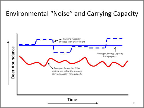 Environmental "Noise" and Carrying Capacity
