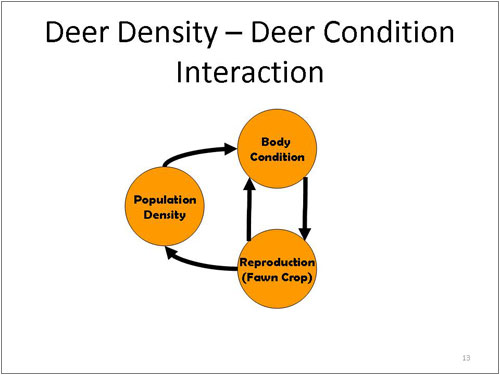 Figure 13. Deer Density - Deer Condition Interaction
