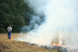 Habitat Management