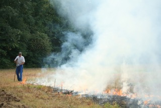 Habitat Management