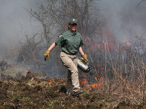 Amy Blaylock conducting prescribed burn