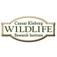 Caesar Kleberg Wildlife Research Institute