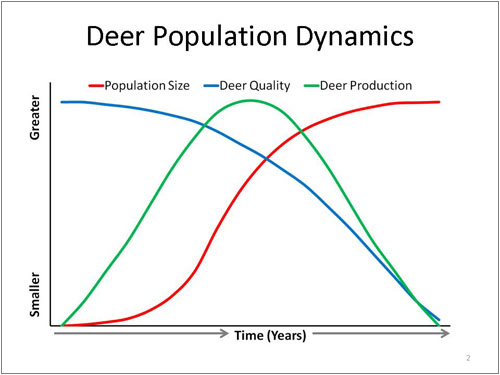 Deer Population Dynamics