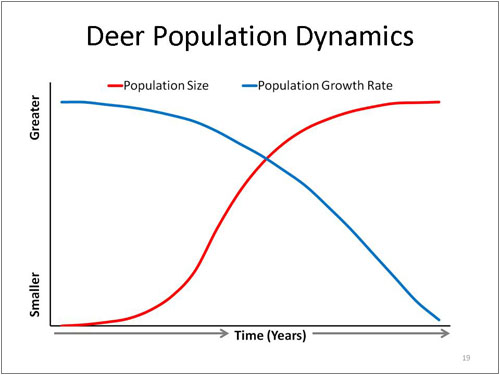 Deer Population Dynamics