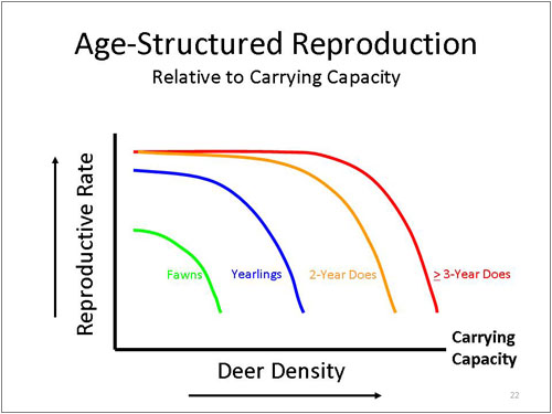 Figure 22. Age-Structured Reproduction
