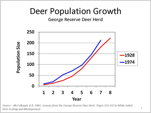 Deer Population Growth