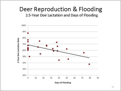 Figure 29. Deer Reproduction and Flooding