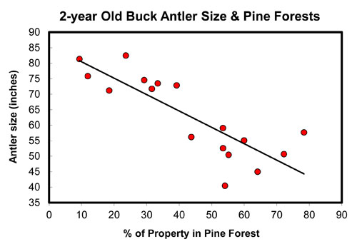 2-Year Old Buck Antler Size and Pine Forests
